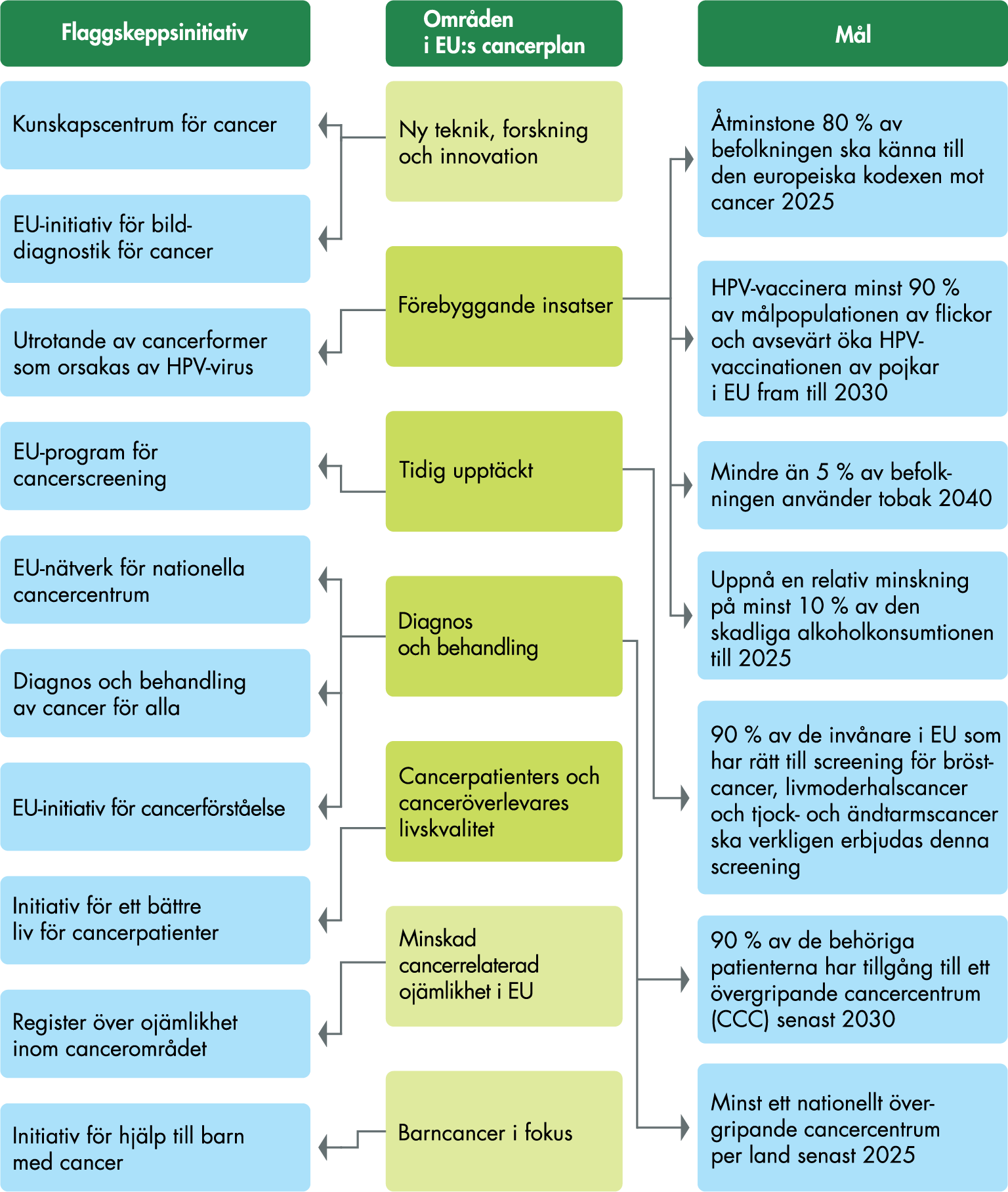 Figuren beskriver områden i EU:s cancerplan och de flaggskeppsinitiativ och mål som är kopplade till dem.