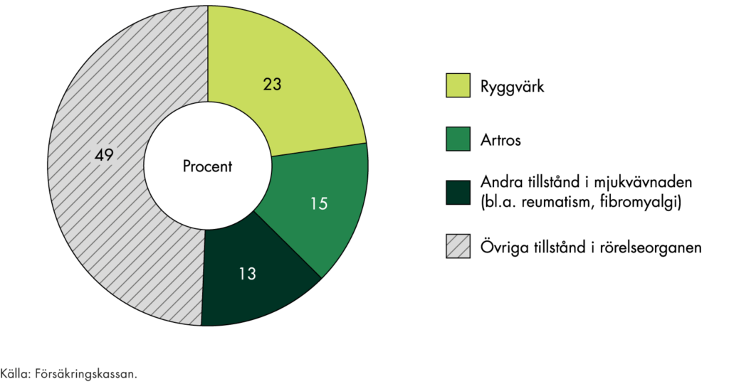 Sjukfrånvaro i rörelseorganens sjukdomar orsakas till 23 procent av ryggvärk, 15 procent av artros, 13 procent av andra tillstånd i mjukvävnaden, och resterande 49 procent av övriga tillstånd i rörelseorganen.
