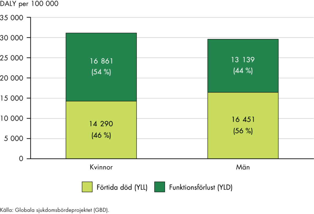 Kvinnors sjukdomsbörda består till 54 procent av funktionsförlust och 46 procent av förtida död. Mäns sjukdomsbörda består till 44 procent av funktionsförlust och 56 procent av förtida död.