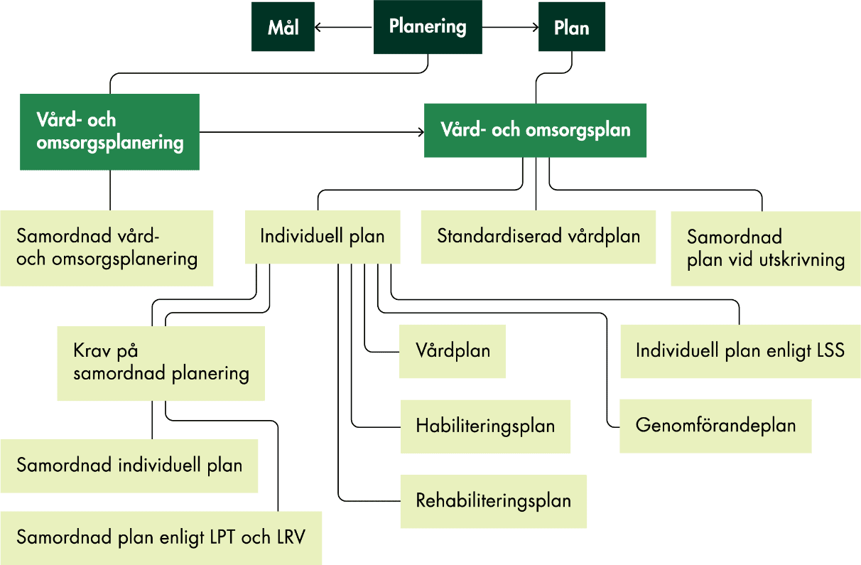Det finns flera olika planer som kallas individuell plan. Socialstyrelsen beskriver dessa i ett diagram i sin termbank.