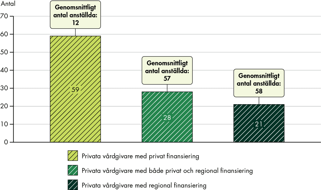 59 vårdgivare ägnar sig enbart åt privat finansierade utredningar och behandlingar. 28 vårdgivare bedriver privat finansierade utredningar och behandlingar i kombination med att de också har avtal med regionerna. 21 vårdgivare bedriver regionfinansierad verksamhet genom avtal. De privat finansierade vårdgivarna har i genomsnitt 12 personer anställda. Vårdgivare som är finansierade av regioner har i genomsnitt 58 personer anställda. Vårdgivarna som har både privat och regional finansiering har 57 personer anställda i genomsnitt.